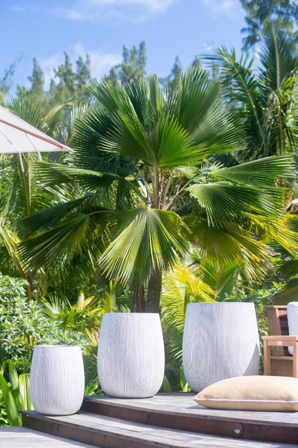 Motu Nao Nao Private Island Villa Opoa Luaran gambar